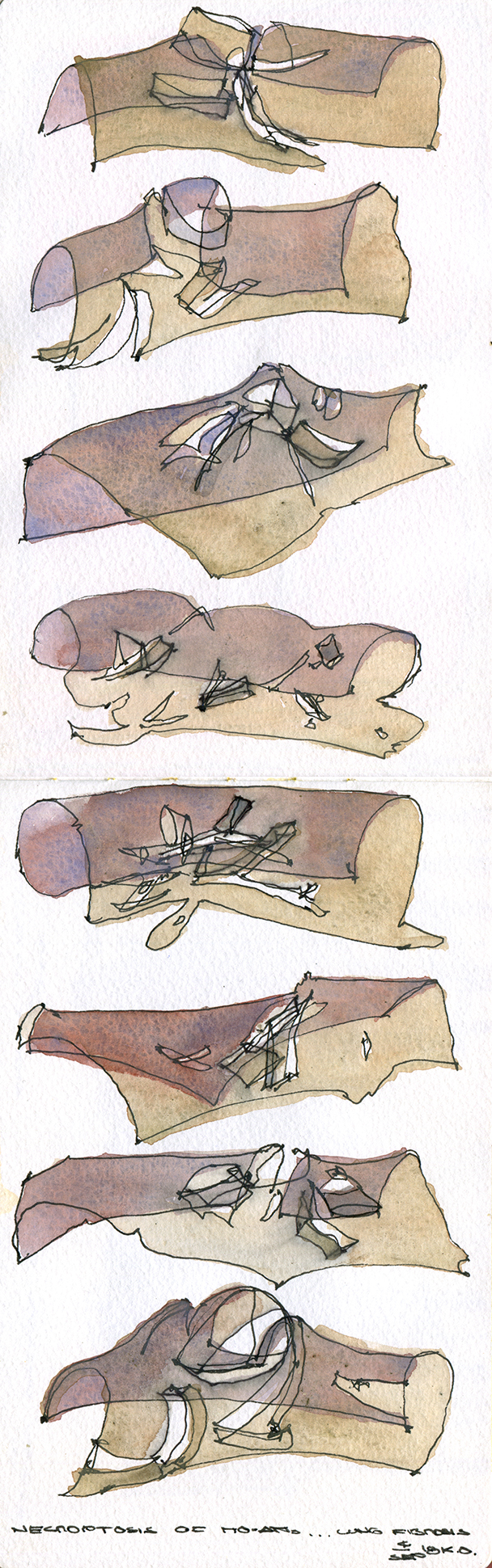 WHY ARE YOU CONTENT TO SIMPLY DRAW FOR EMOTION?